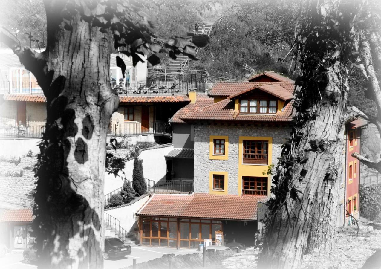 Hotel Puente Vidosa Amieva Екстериор снимка